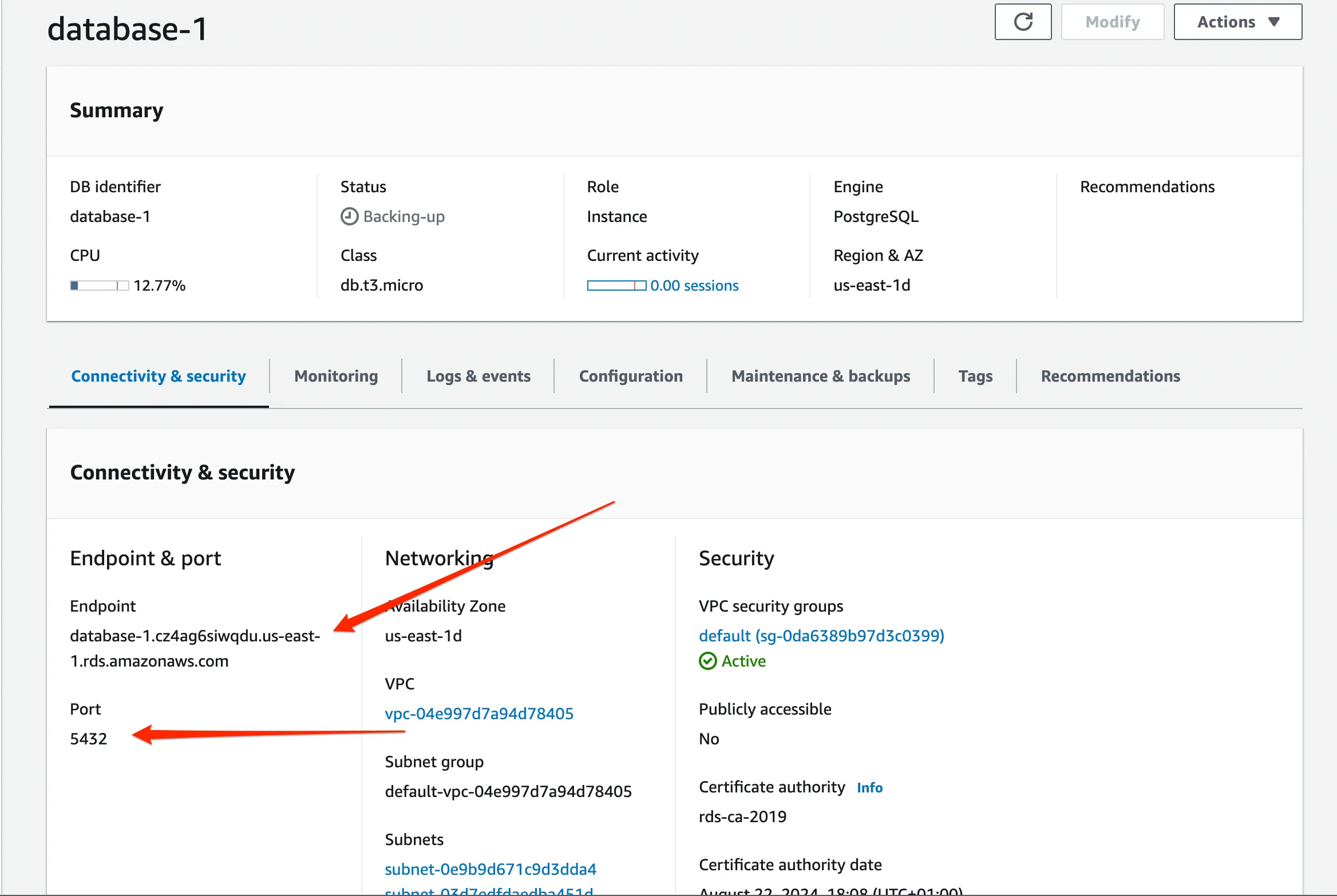 An AWS RDS database creation page to set up the connectivity options to the database