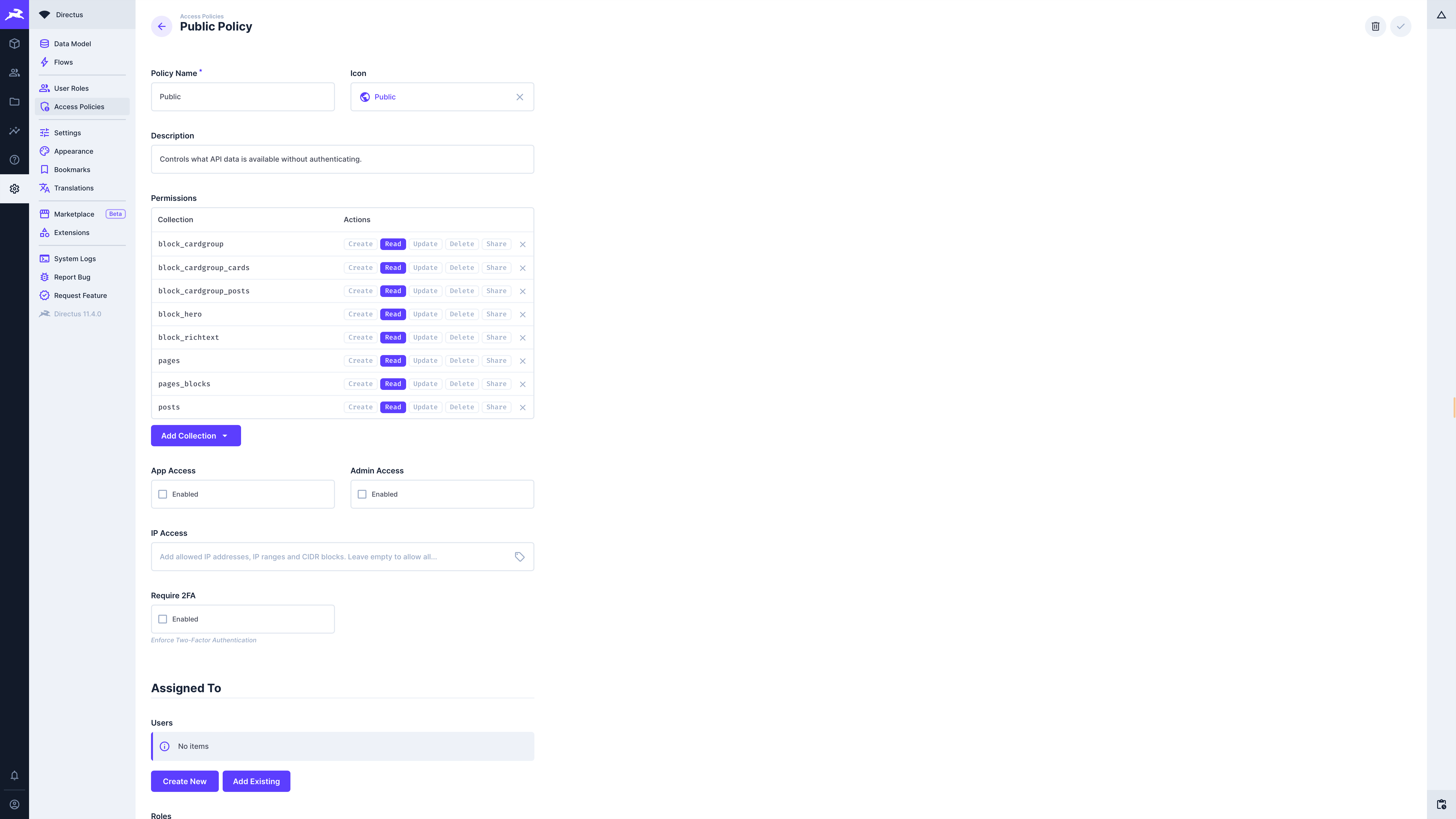 Directus Public Access Policy