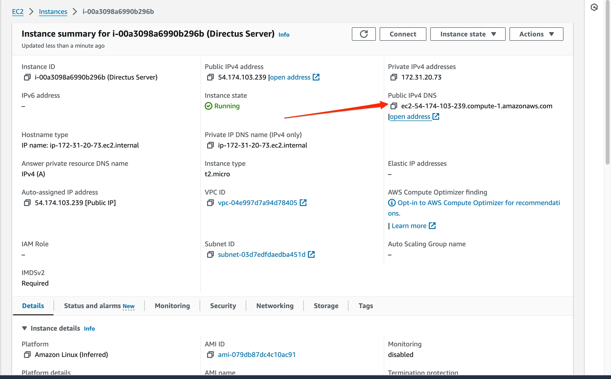 An EC2 instance properties page showing the location of the Public IPv4 DNS value